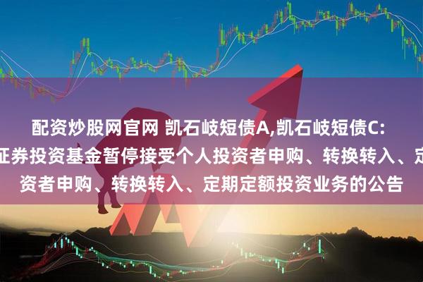配资炒股网官网 凯石岐短债A,凯石岐短债C: 关于凯石岐短债债券型证券投资基金暂停接受个人投资者申购、转换转入、定期定额投资业务的公告