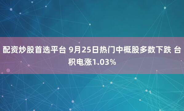 配资炒股首选平台 9月25日热门中概股多数下跌 台积电涨1.03%
